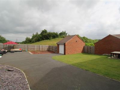 Picture 19